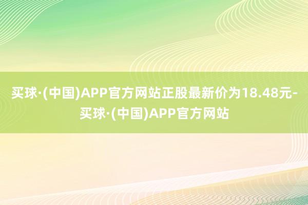 买球·(中国)APP官方网站正股最新价为18.48元-买球·(中国)APP官方网站