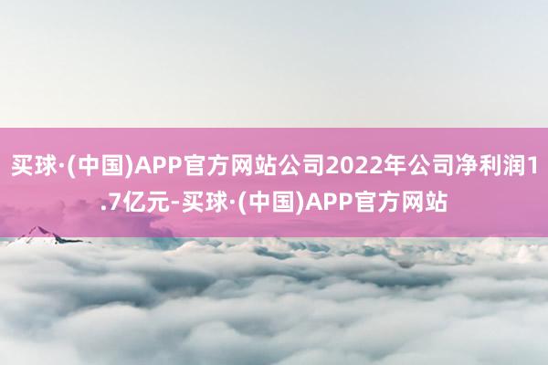 买球·(中国)APP官方网站公司2022年公司净利润1.7亿元-买球·(中国)APP官方网站