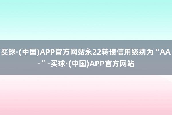 买球·(中国)APP官方网站永22转债信用级别为“AA-”-买球·(中国)APP官方网站