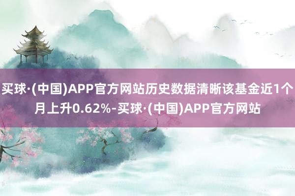 买球·(中国)APP官方网站历史数据清晰该基金近1个月上升0.62%-买球·(中国)APP官方网站