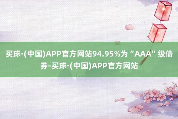 买球·(中国)APP官方网站94.95%为“AAA”级债券-买球·(中国)APP官方网站