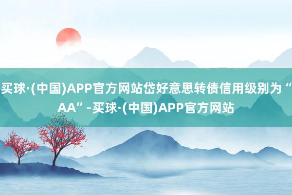 买球·(中国)APP官方网站岱好意思转债信用级别为“AA”-买球·(中国)APP官方网站