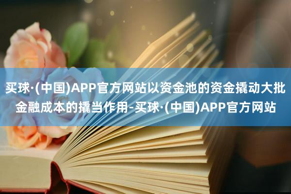 买球·(中国)APP官方网站以资金池的资金撬动大批金融成本的撬当作用-买球·(中国)APP官方网站