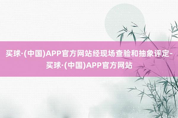 买球·(中国)APP官方网站经现场查验和抽象评定-买球·(中国)APP官方网站