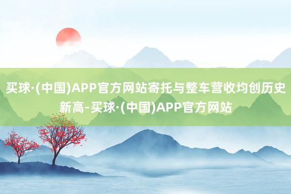 买球·(中国)APP官方网站寄托与整车营收均创历史新高-买球·(中国)APP官方网站