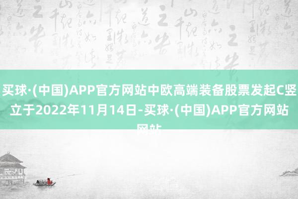 买球·(中国)APP官方网站中欧高端装备股票发起C竖立于2022年11月14日-买球·(中国)APP官方网站