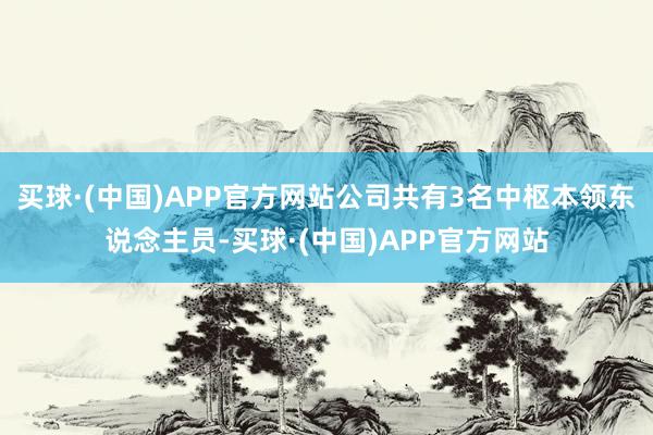 买球·(中国)APP官方网站公司共有3名中枢本领东说念主员-买球·(中国)APP官方网站