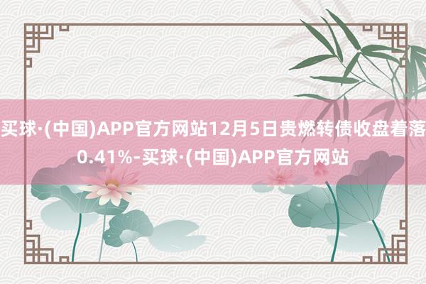 买球·(中国)APP官方网站12月5日贵燃转债收盘着落0.41%-买球·(中国)APP官方网站