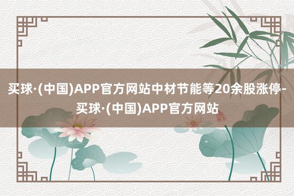 买球·(中国)APP官方网站中材节能等20余股涨停-买球·(中国)APP官方网站