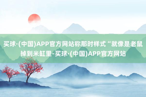 买球·(中国)APP官方网站称那时样式“就像是老鼠掉到米缸里-买球·(中国)APP官方网站