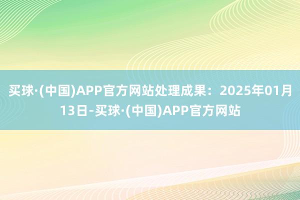 买球·(中国)APP官方网站处理成果：2025年01月13日-买球·(中国)APP官方网站