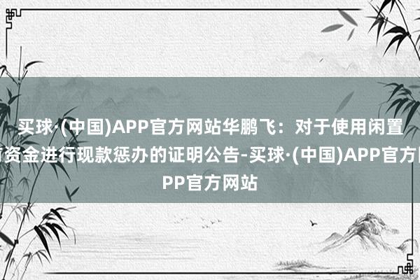 买球·(中国)APP官方网站华鹏飞：对于使用闲置自有资金进行现款惩办的证明公告-买球·(中国)APP官方网站