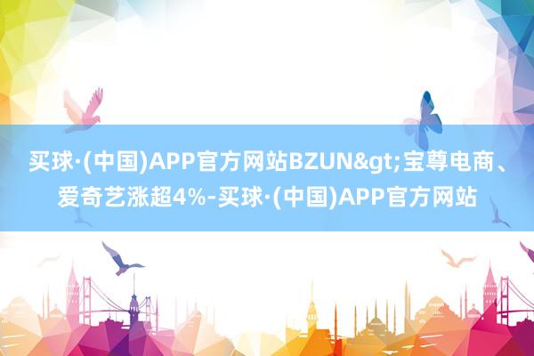 买球·(中国)APP官方网站BZUN>宝尊电商、爱奇艺涨超4%-买球·(中国)APP官方网站