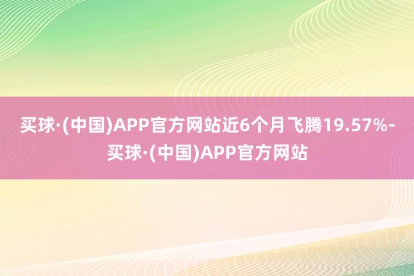 买球·(中国)APP官方网站近6个月飞腾19.57%-买球·(中国)APP官方网站